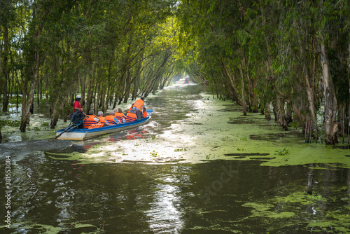 Tourism motorboat in cajuput forest in floating water season in Mekong Delta, Can Tho, Vietnam