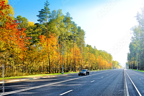 Golden autumn landscape with modern city street against green orange red and forest background. Wide view of car moving along town street. Urban landmark. Late september in Moscow city Russia