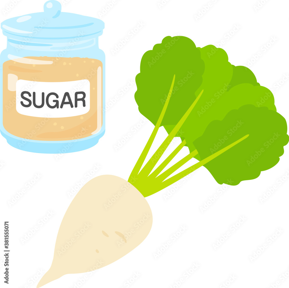 ガラス瓶に入った茶色い砂糖と甜菜 Vector De Stock Adobe Stock