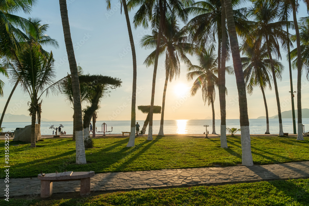 Tropical beach with coconut palm tree in morning sunrise in Nha Trang beach, central Vietnam Tropical beach with coconut palm tree in morning sunrise in Nha Trang beach, central Vietnam
