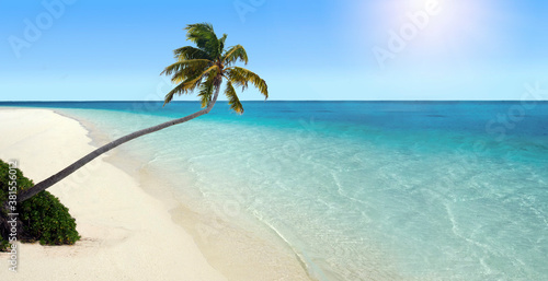 Lone palm tree on an empty tropical island beach © Rafael Ben-Ari