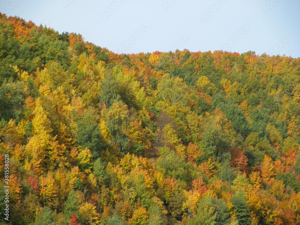 autumn deciduous trees with yellow, red and green leaves, standing on a mountain, Athos blue sky