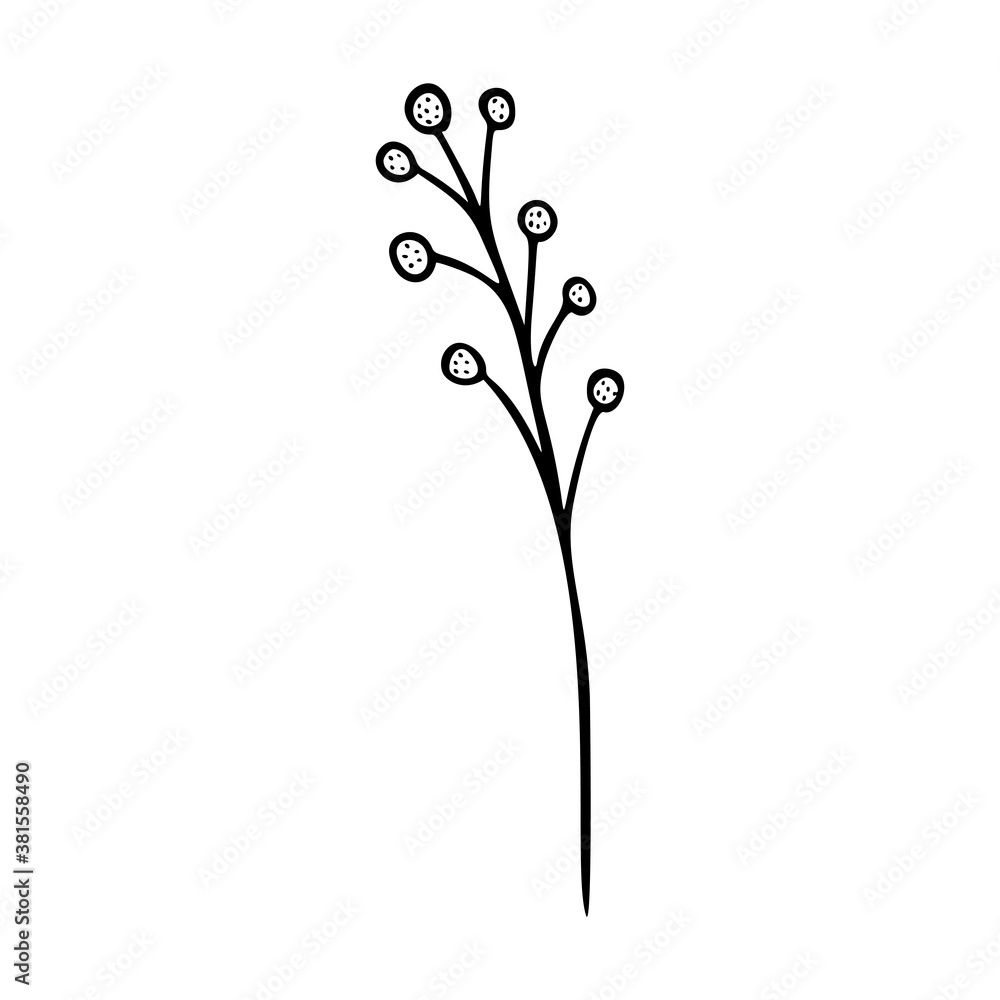Wildflower outline hand drawn element. Herbs doodle botanical icon. Herbal and meadow plant, grass. Rustic blossom element for logo, wedding, print. Vector illustration isolated on white background.