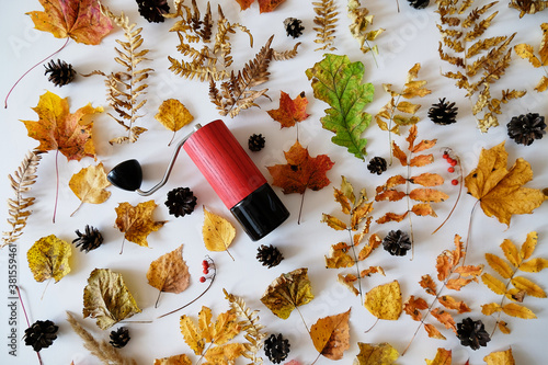 Red manual coffee grinder among autumn leaves and cones, layout, top view