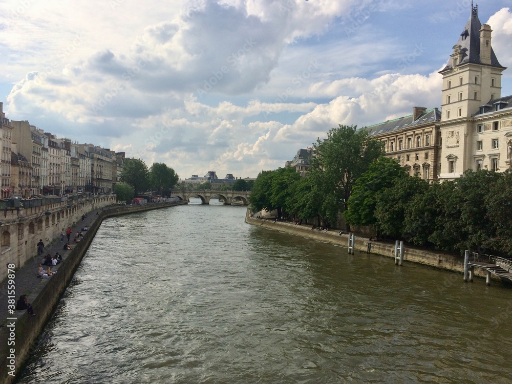 Fototapeta premium la Seine in Paris