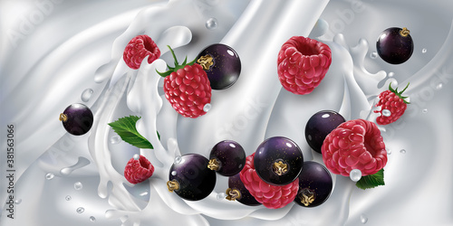 Black currants and raspberries in a stream of milk or yogurt.