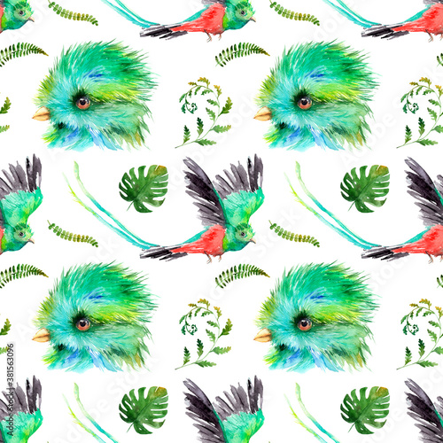watercolor drawing of birds - Resplendent Quetzal - seamless pattern © Toshka