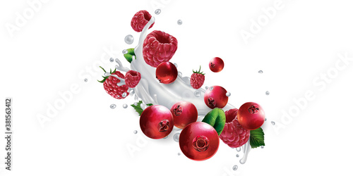 Cranberries and raspberries in splashes of milk or yogurt.