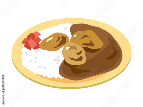 お皿に乗った日本風のカレーライス（鶏のから揚げのカレー）