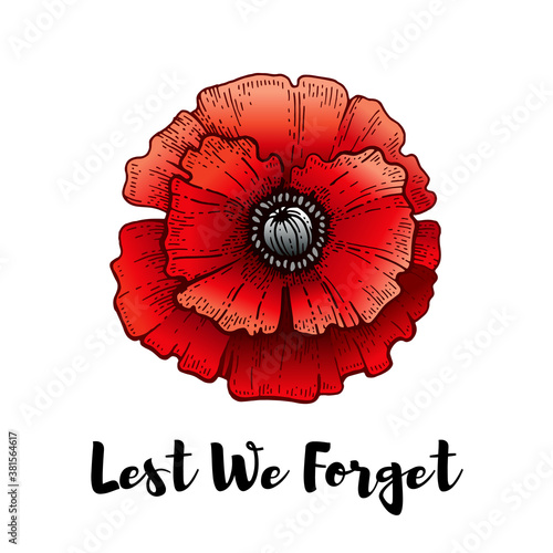 Remembrance day. Poppy with Lest we forget text. Armistice Remembrance and Anzac background. Flower illustration for world war memorial. 11th november poster. Canada, Australia banner with red poppy