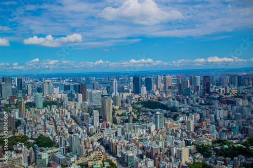 東京都心部の風景  © MACRIA