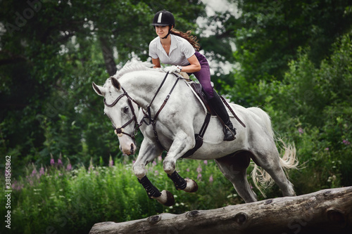portrait of grey horse with woman rider jumping over obstacle during eventing cross country training in summer 
