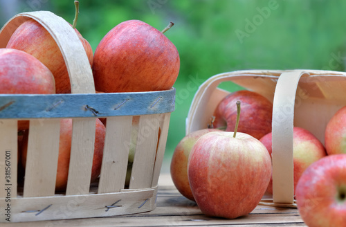 group of red apples in little basket on a wooden table in garden on green bac...
