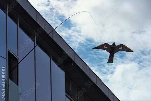 Fotografie Bird scare device, eagle-like kite hung