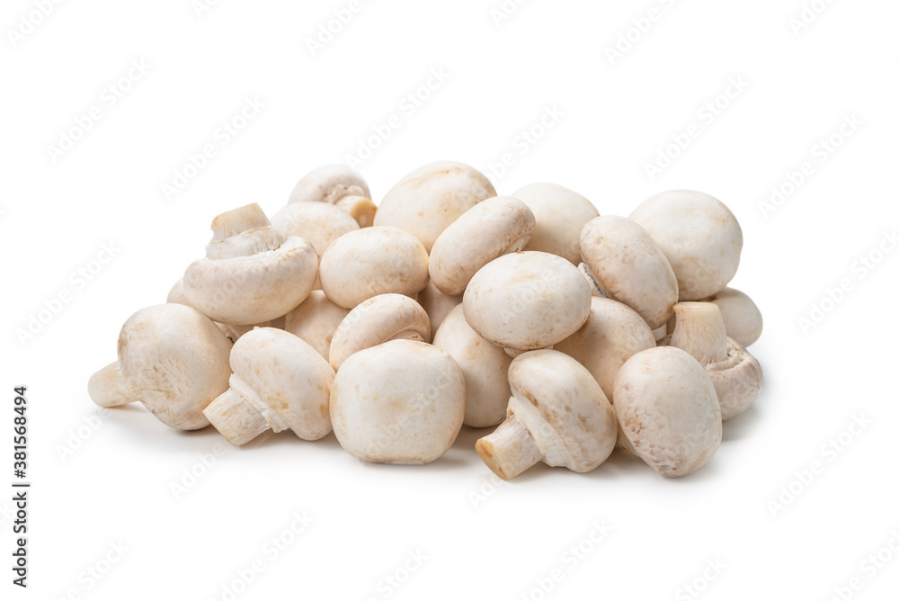 Champignon mushroom isolated on white background. Champignon mushroom isolated on white background.