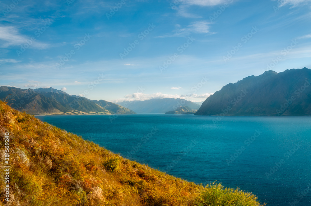 Close up view from Lake Hawea Lookout on a beautiful sunny morning with golden grasses in the foreground in Otago Region, New Zealand, South Island.