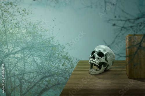 Human skull on the wooden table with smoke and fog