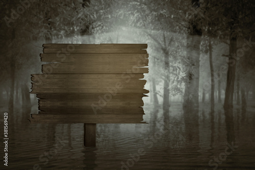 Fototapeta Naklejka Na Ścianę i Meble -  Blank wooden sign on the lake in a haunted forest with a dramatic scene background
