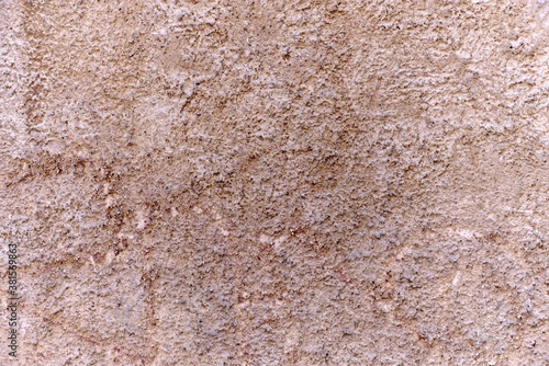 A wall with puffy fungal texture along with rough pattern