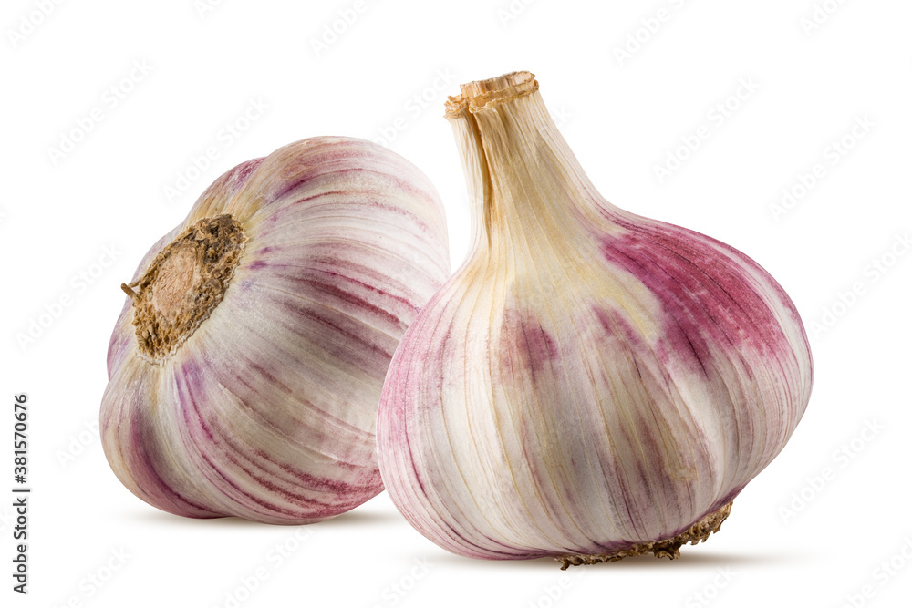 Fototapeta premium Garlics isolated on white background