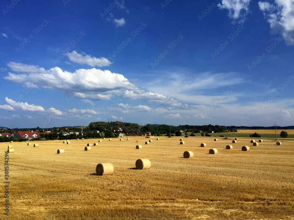 hay bales on a field against blue sky in Czech Republic