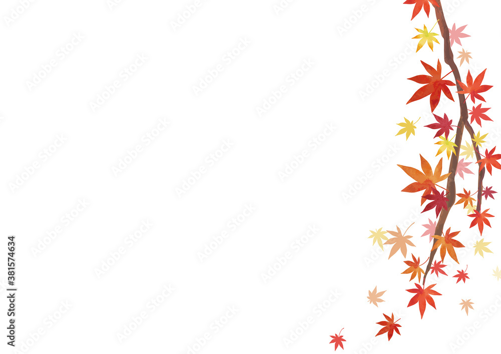 秋の背景素材 紅葉 もみじの枝 右に装飾 白背景 横長 A3 比率 Stock Vector Adobe Stock