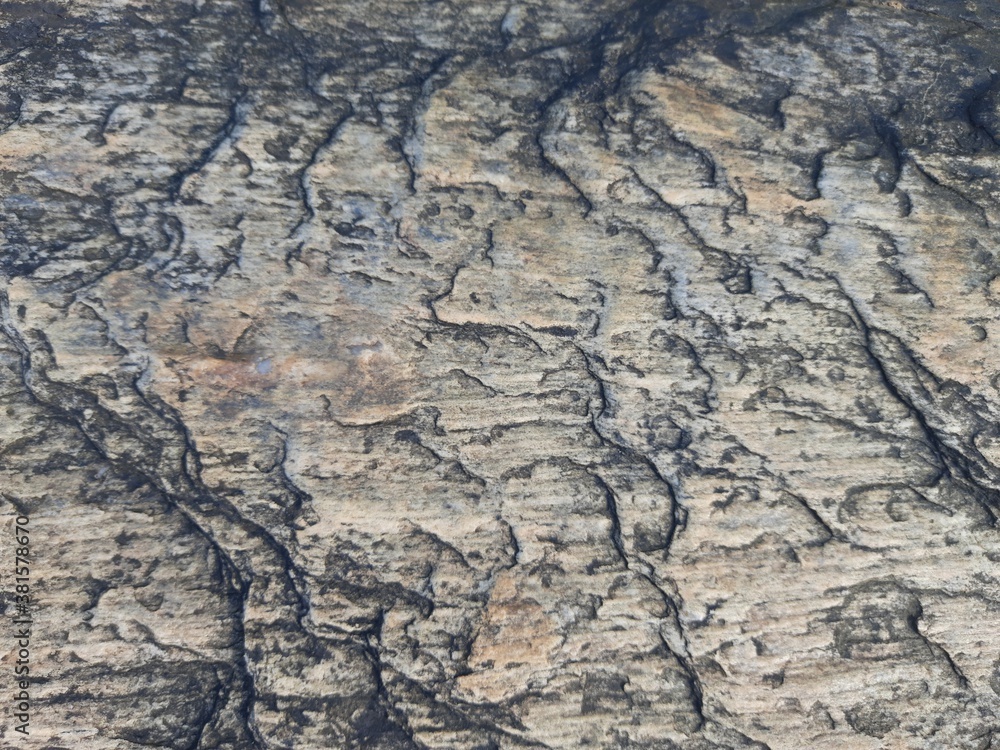 Natural background of rock in riverside india. Stones texture and background. Rock texture. Rock fragment. Abstract background. A fragment of rock. Natural background of rock in riverside india. Stones texture and background. Rock texture. Rock fragment. Abstract background. A fragment of rock.