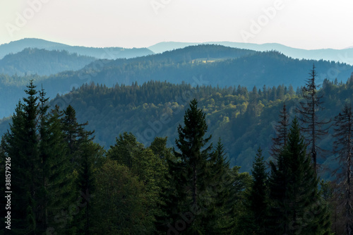Tree covered mountains in the Black Forest of Germany near Feldberg.