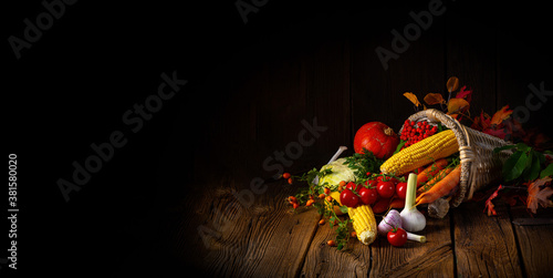 The beautiful autumnal cornucopia with vegetables photo