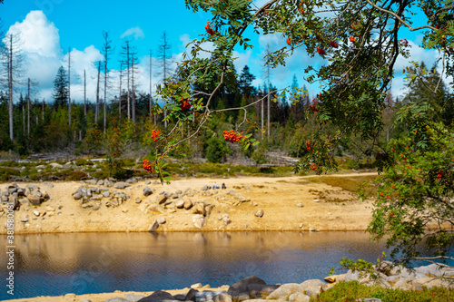 summery Odertal in the Harz Mountains photo