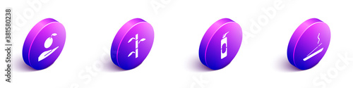 Set Isometric Apple in hand, Bamboo stems with leaves, Spray can for hairspray and Scented spa stick icon. Vector.