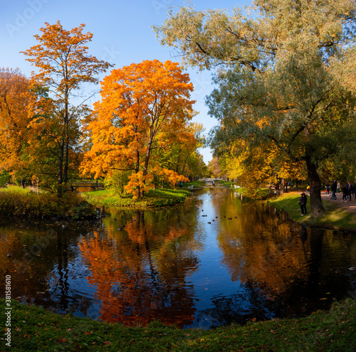 Autumn landscape  view of the lake in the old Park. Tsarskoe Selo  Saint Petersburg.
