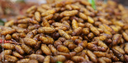 Silkworms fried as a high protein foods.