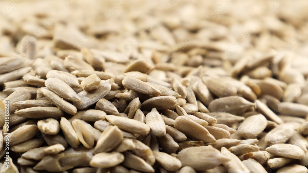 Obraz premium Sunflower seeds, peeled, without shell. Background of peeled not roasted seeds.