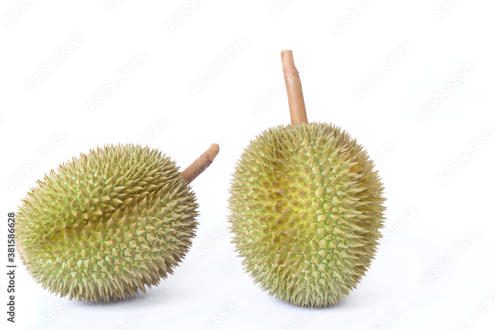 Durian as a king of fruit in Thailand. It has strong odor and thorn-covered rind. Durian as a king of fruit in Thailand. It has strong odor and thorn-covered rind.