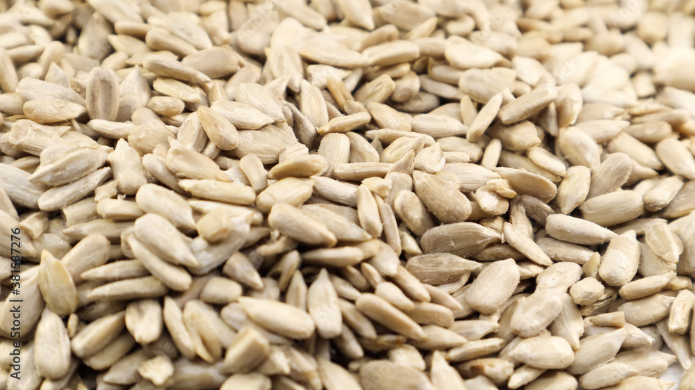 Sunflower seeds, peeled, without shell. Background of peeled not roasted seeds. Sunflower seeds, peeled, without shell. Background of peeled not roasted seeds.
