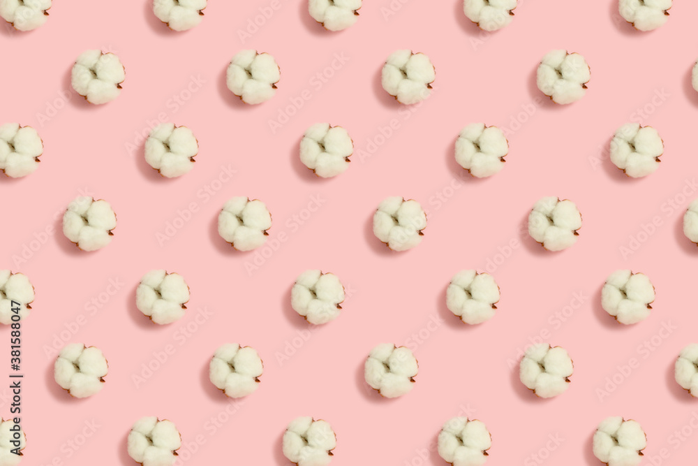Dried cotton flowers pattern on a pink pastel background. Creative floral arrangement. Dried cotton flowers pattern on a pink pastel background. Creative floral arrangement.