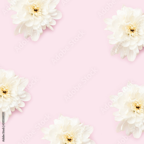 Frame made of chrysanthemum flowers on a pink background. Creative floral template with copy space.