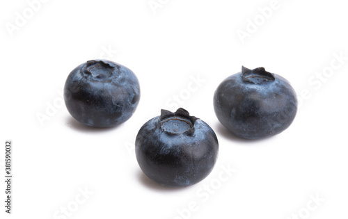 blueberry berries isolated