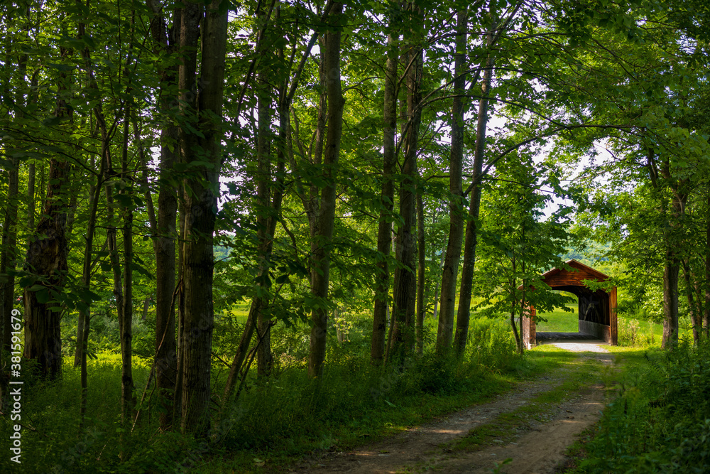 The Hyde Hall Covered Bridge, built in. 1825 and is the oldest existing covered bridge in the U.S., rests at the end of a dirt road during a summer day. The Hyde Hall Covered Bridge, built in. 1825 and is the oldest existing covered bridge in the U.S., rests at the end of a dirt road during a summer day.