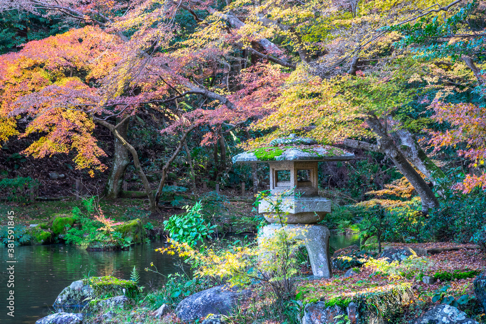 紅葉の秋 紅葉の秋