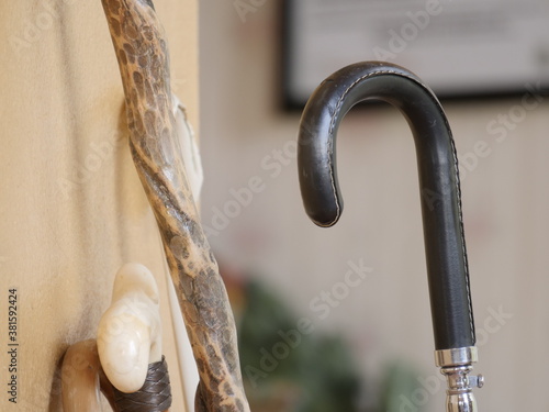 Walking cane and umbrella grips