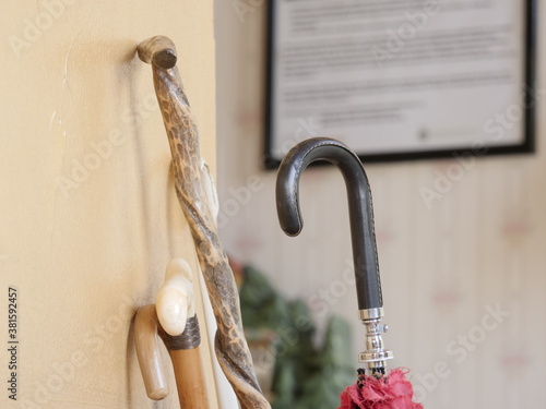 Walking cane and umbrella grips