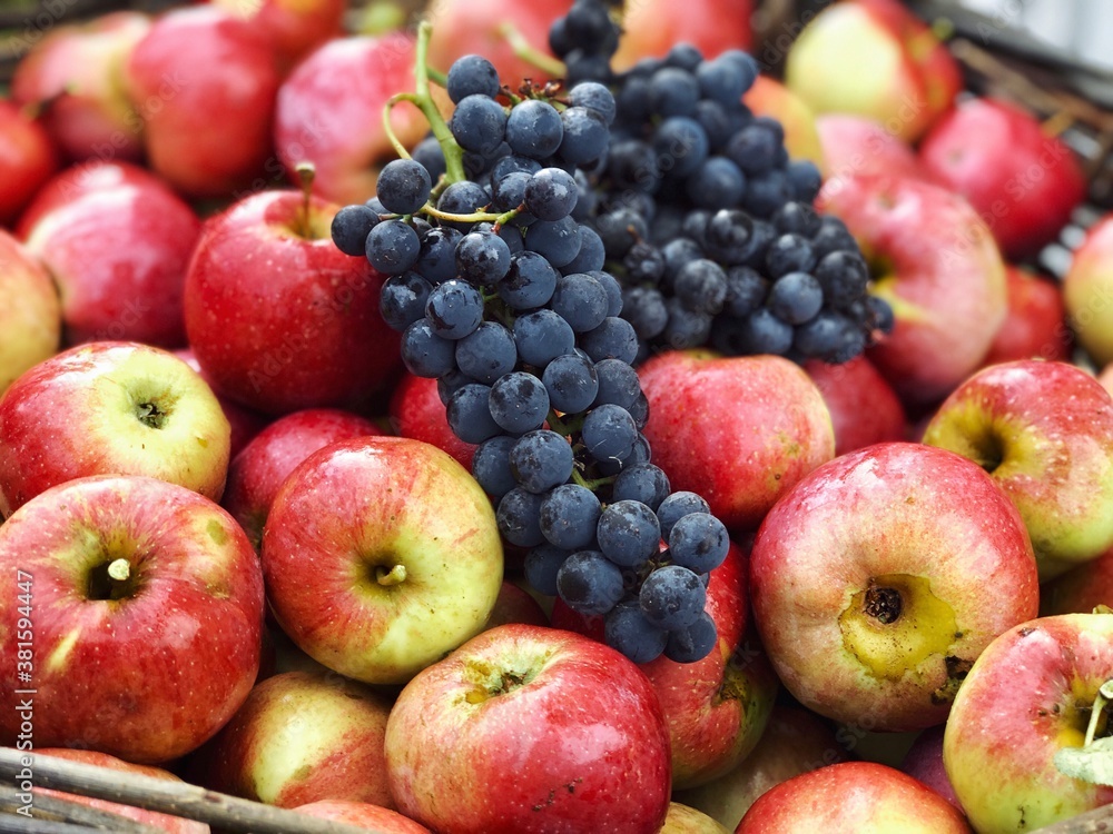 red apples and purple grapes harvest