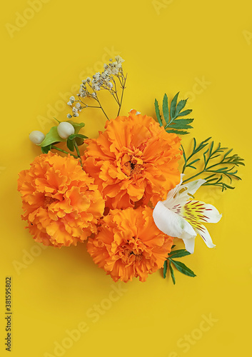 orange flowers on a colored background frame