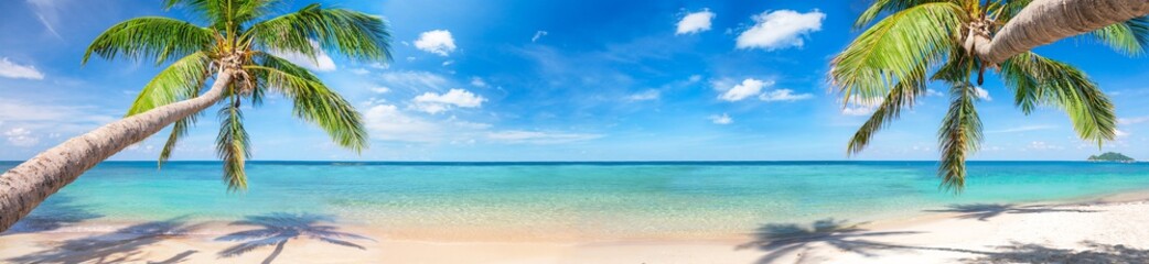 Deken met foto Palmboom Kokospalmen langs tropisch strand breed panoramisch uitzicht  © Alexander Ozerov