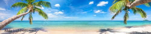 Photo panorama of tropical beach with coconut palm trees