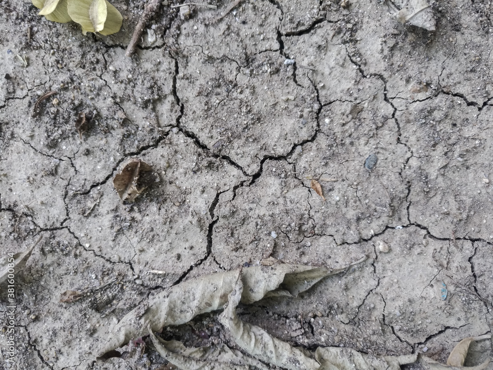 Arid soil with dried leaf background for global warming effect Arid soil with dried leaf background for global warming effect