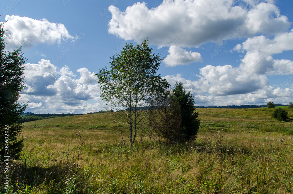 Bieszczady panorama 