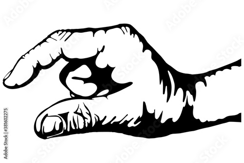 Black and white drawing. Gesture. Small hand showing.